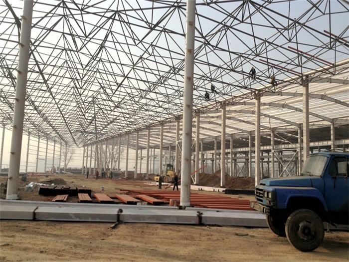 桦甸网架架构工程